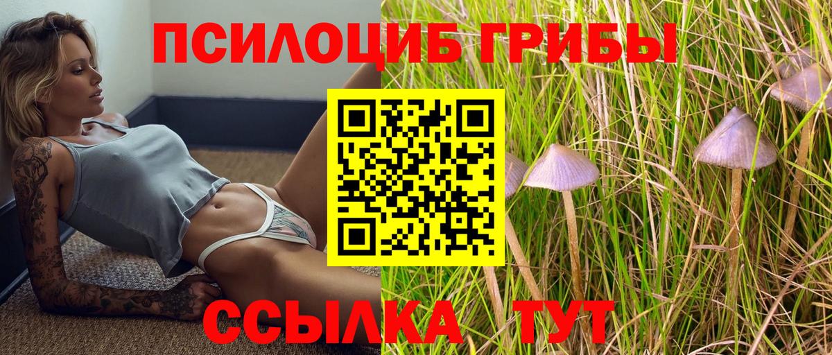Псилоцибиновые грибы Cubensis Кемерово